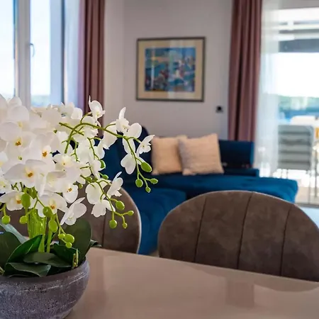 Bura With Pool And Sauna